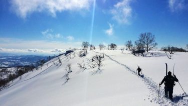 国別に紐解く、「海外スキー関心の分析」