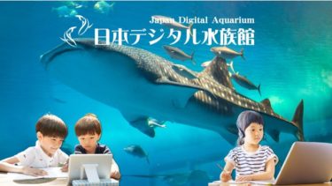 日本デジタル水族館、シークレットライブを世界へ配信