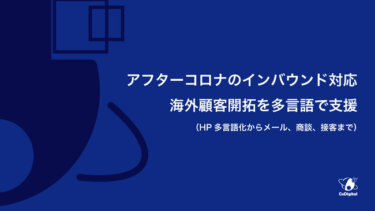 サイトの多言語化や問い合わせにも対応、サポートサービス開始