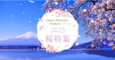 「GOOD LUCK TRIP」にて「桜特集」スタート